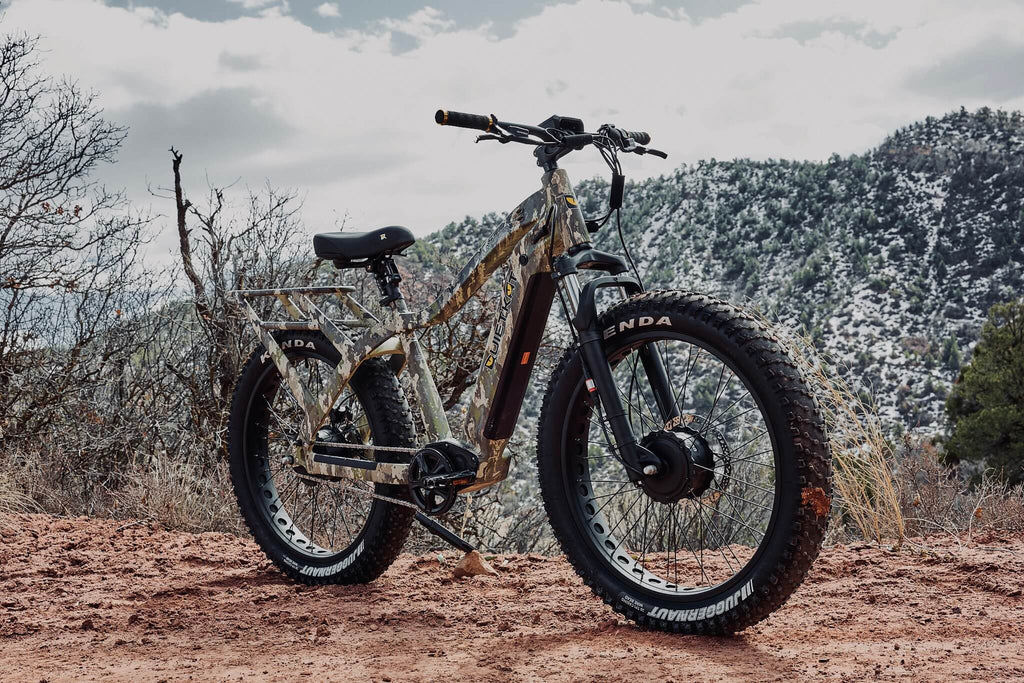 How to Choose Your Perfect All Terrain Electric Bike for 2024