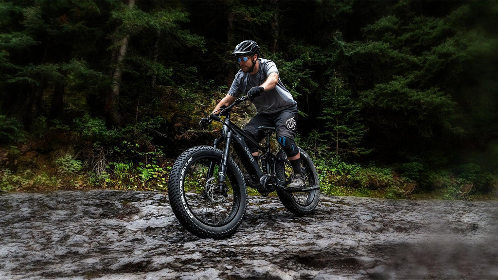 Why EBikes? – QUIETKAT USA