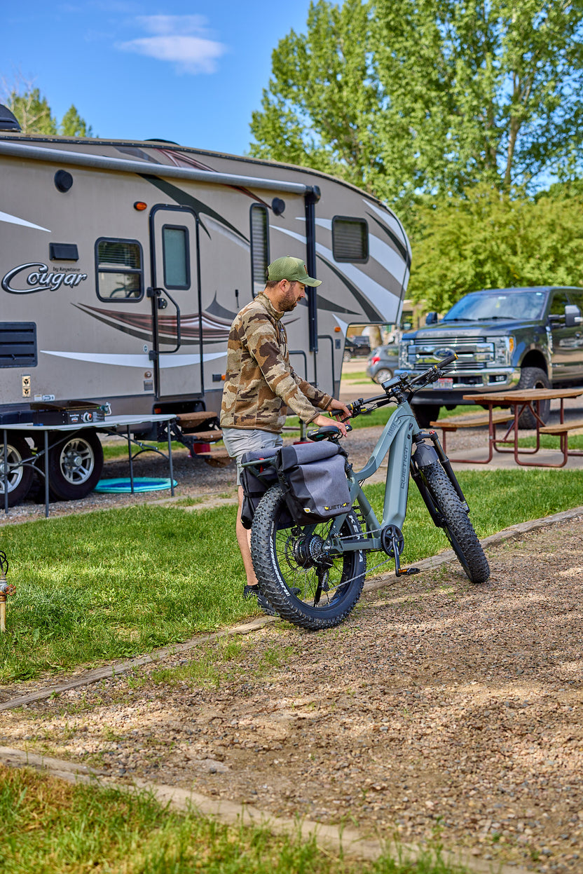 quiet cat electric bike for sale