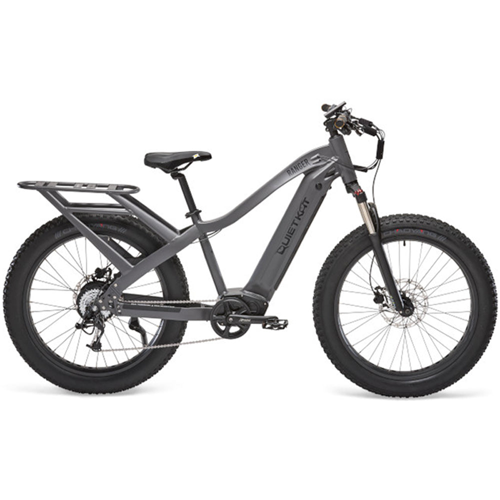 grey electric bicycle Ranger Fat Tire Electric Mountain Bike